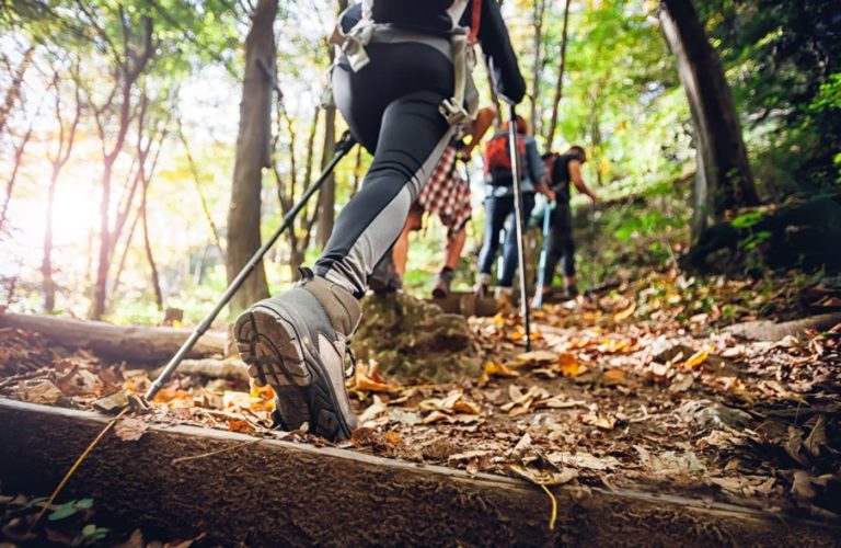 A group of hikers using trekking poles walk uphill along a forest trail covered in fallen leaves, surrounded by trees and sunlight—much like the natural beauty found near custom homes Gainesville residents enjoy.