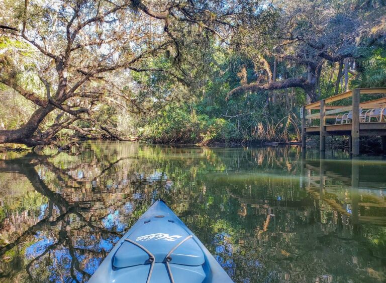 A blue kayak glides through a calm, tree-lined river with overhanging branches. On the right, a wooden deck with chairs overlooks the water, reflecting the lush greenery and sky.